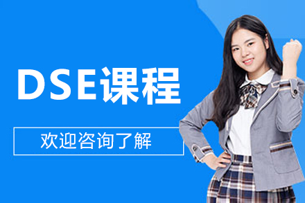 北京DSE课程