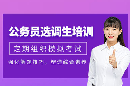 合肥状元兔公考选调生培训体系：从知识储备到基层适配的全链路培养方案