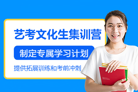 郑州艺考文化生集训营