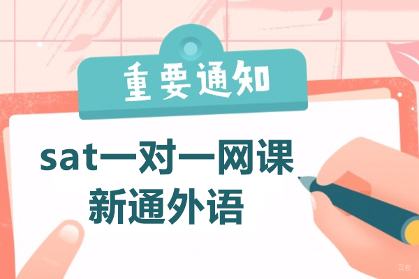 上海sat一对一网课-新通外语