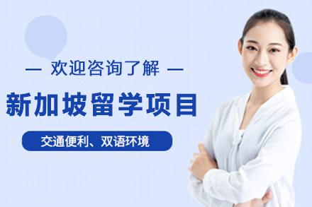 新加坡留学申请全攻略：从人群适配到方案选择的深度解析