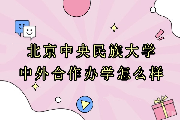 中央民族大学中外合作办学项目深度解析:双学位认证与国际化培养路径