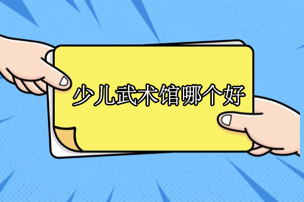武漢-武漢少兒武術館哪個好-新精武少兒武術