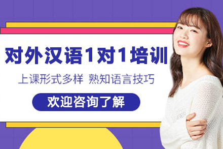 石家庄对外汉语1对1培训：个性化教学体系助力汉语能力进阶