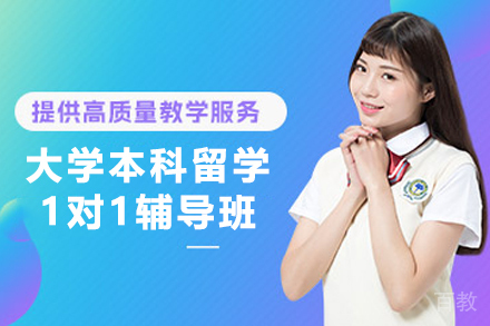 天津大学本科留学一对一辅导课程特色解析