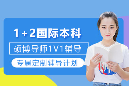 英国奇切斯特大学新加坡分校1+2项目
