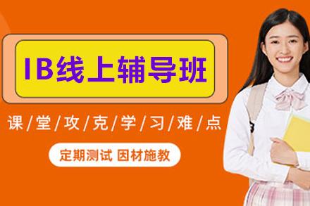 天津IB线上1对1辅导全攻略：个性化教学如何助力国际课程学习