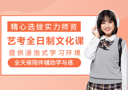 南京艺考全日制文化课课程