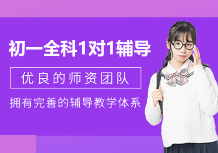 南京初一全科1对1个性化辅导课程