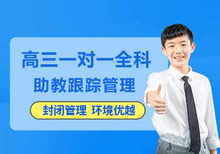 南京锐思教育高三一对一全科课程：个性化提分方案与教学体系全解析