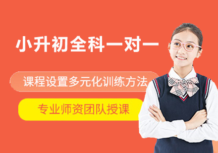 南京小升初全科一对一个性化辅导课程