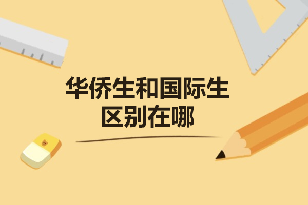 济南华侨生与国际生升学路径全解析：核心差异与优势对比