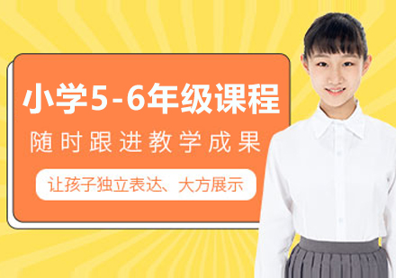 南京小学5-6年级一对一课程