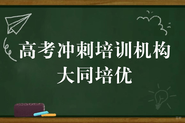 上海早教中小学-上海高考冲刺培训机构-大同培优