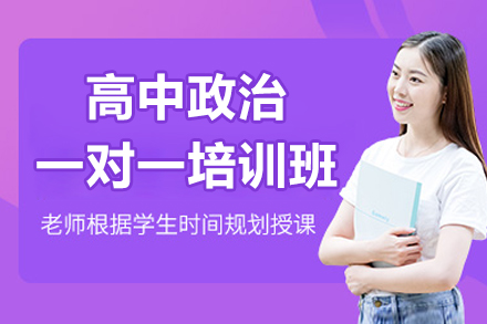 高中政治一对一培训深度解析：有道领世提分方案与教学体系全揭秘