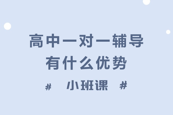 高中一对一辅导有什么优势