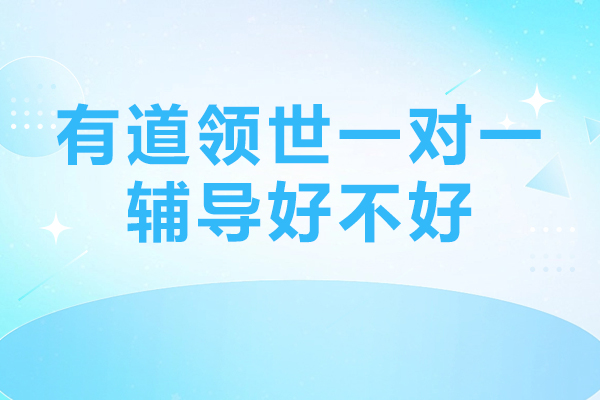 北京有道领世一对一辅导好不好-有道领世一对一的优势