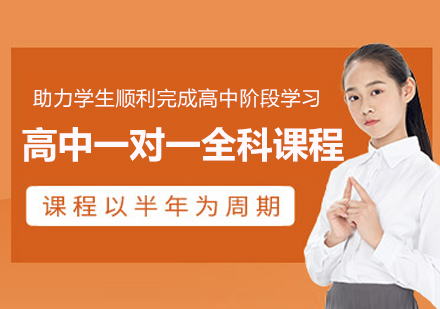 高中全科一对一辅导：定制化教学体系助力多维度提升