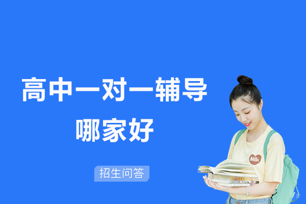 杭州中小学辅导-高中一对一辅导哪家好