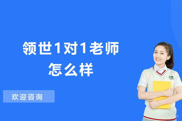 领世1对1老师怎么样