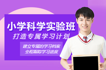 北京汇贤学校小学科学实验班培养体系全解析：九年贯通+跨学科项目教学