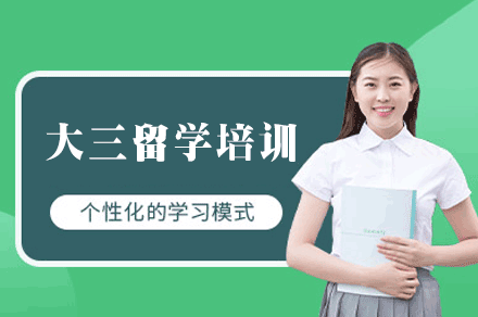 西安大三留学规划全流程指导班：从选校到行前的一站式支持