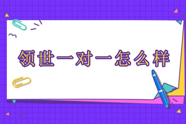 北京領世一對一怎么樣