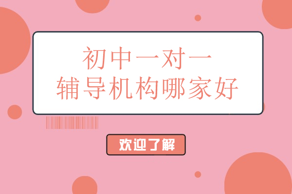 北京初中一對一輔導機構哪家好-領世一對一