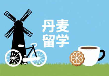 南京睿途丹麦留学全流程解析：从申请到毕业的关键指南