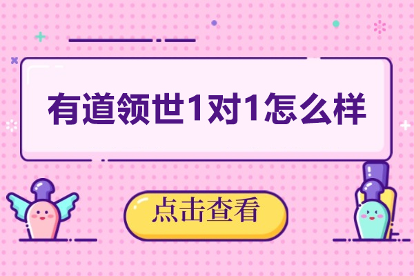 福州有道领世1对1怎么样
