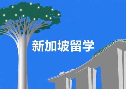 南京睿途新加坡留学申请指南：低门槛规划+全流程服务助力优质院校冲刺