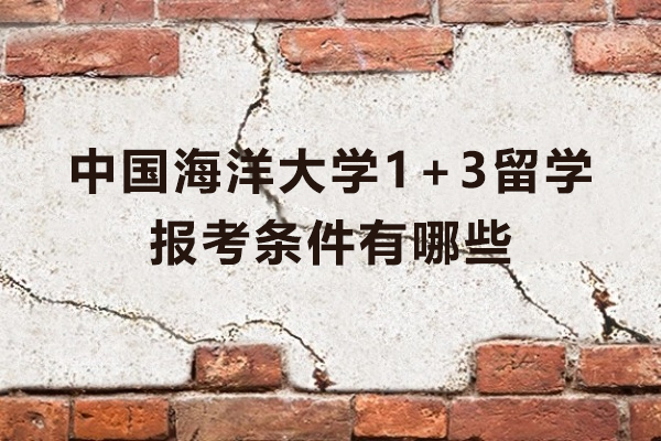 中国海洋大学1+3留学项目报考条件全解析：这些要求你符合吗？