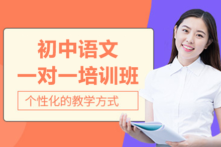 初中语文一对一培训班