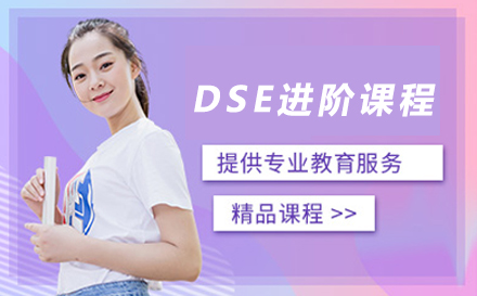 犀牛国际DSE进阶课程全解析：转轨适配+全科提升的一站式培养路径