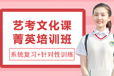 昆明中小学辅导培训-昆明艺考文化课菁英培训班