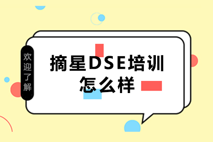 大湾区DSE培训优选：摘星教育核心优势全解析