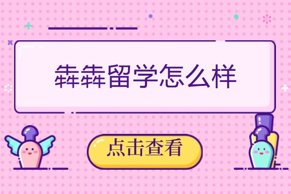 西安犇犇留学服务全解析：从规划到录取的一站式留学支持