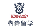 西安犇犇留学