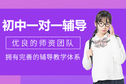 深圳秦学初中一对一辅导：全科定制教学方案深度解析
