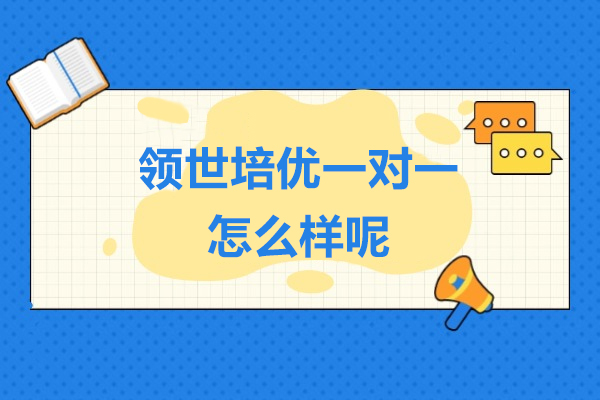 上海领世培优一对一怎么样呢