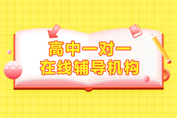 上海高中一对一在线辅导机构哪家好-领世1对1