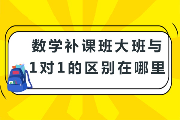 重庆早教中小学-数学补课班大班与1对1的区别在哪里？
