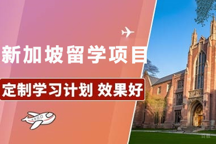 新加坡留学申请项目深度解析:申请条件与项目优势全指南