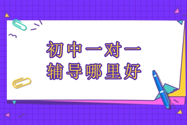 北京初中一对一辅导优选：悉之AI学的六大教学支撑体系解析
