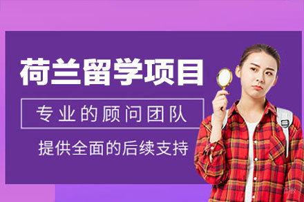 权威指南:荷兰留学申请项目全方位解析