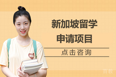 新加坡留学申请项目深度解析与规划指南