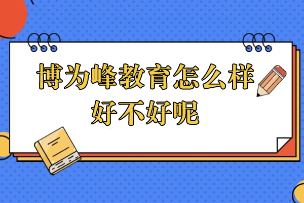 上海博为峰教育怎么样-好不好呢