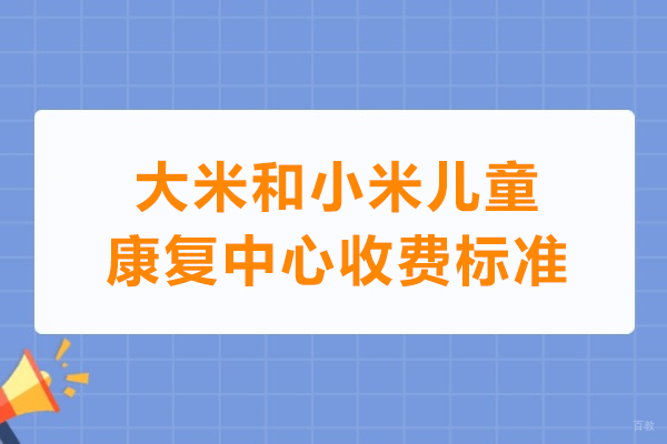合肥大米和小米儿童康复课程价格与服务解析
