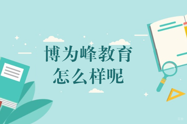 上海博为峰教育教育怎么样-适合哪些人群