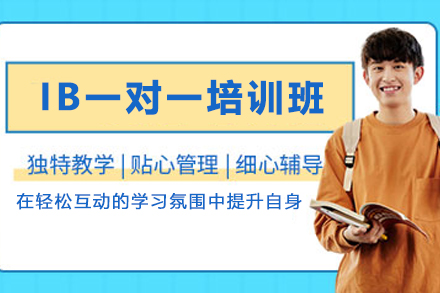 石家庄IB一对一培训班